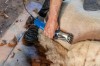 Aesculap Sheep Shearing Machine Econom II