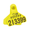 Z Tag Medium Primary & Large Secondary Standard Yellow+Yellow