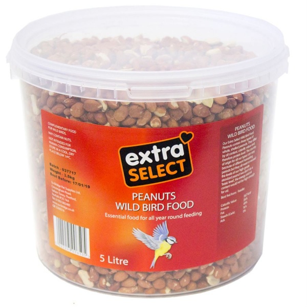 Extra Select Wild Bird Food Bucket Peanuts