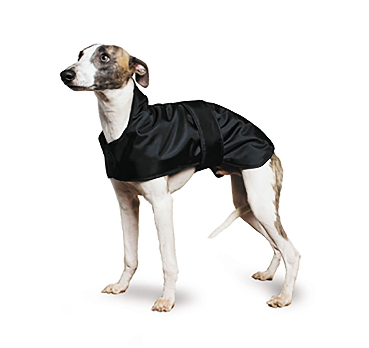 Ancol 70cm Quilted Hound Coat main image 1