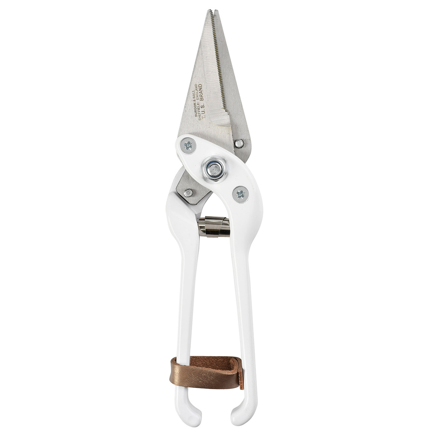 BURGON & BALL FOOTROT SHEARS SERRATED