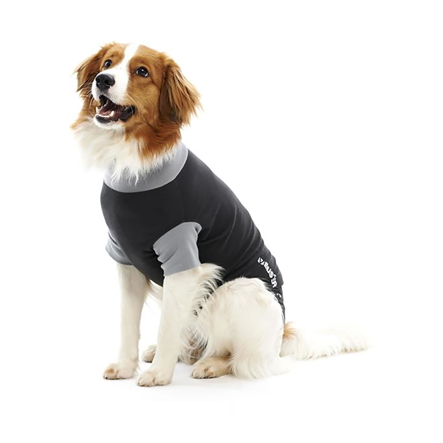 BUSTER BODY SUIT FOR DOGS BLACK/GREY MEDIUM