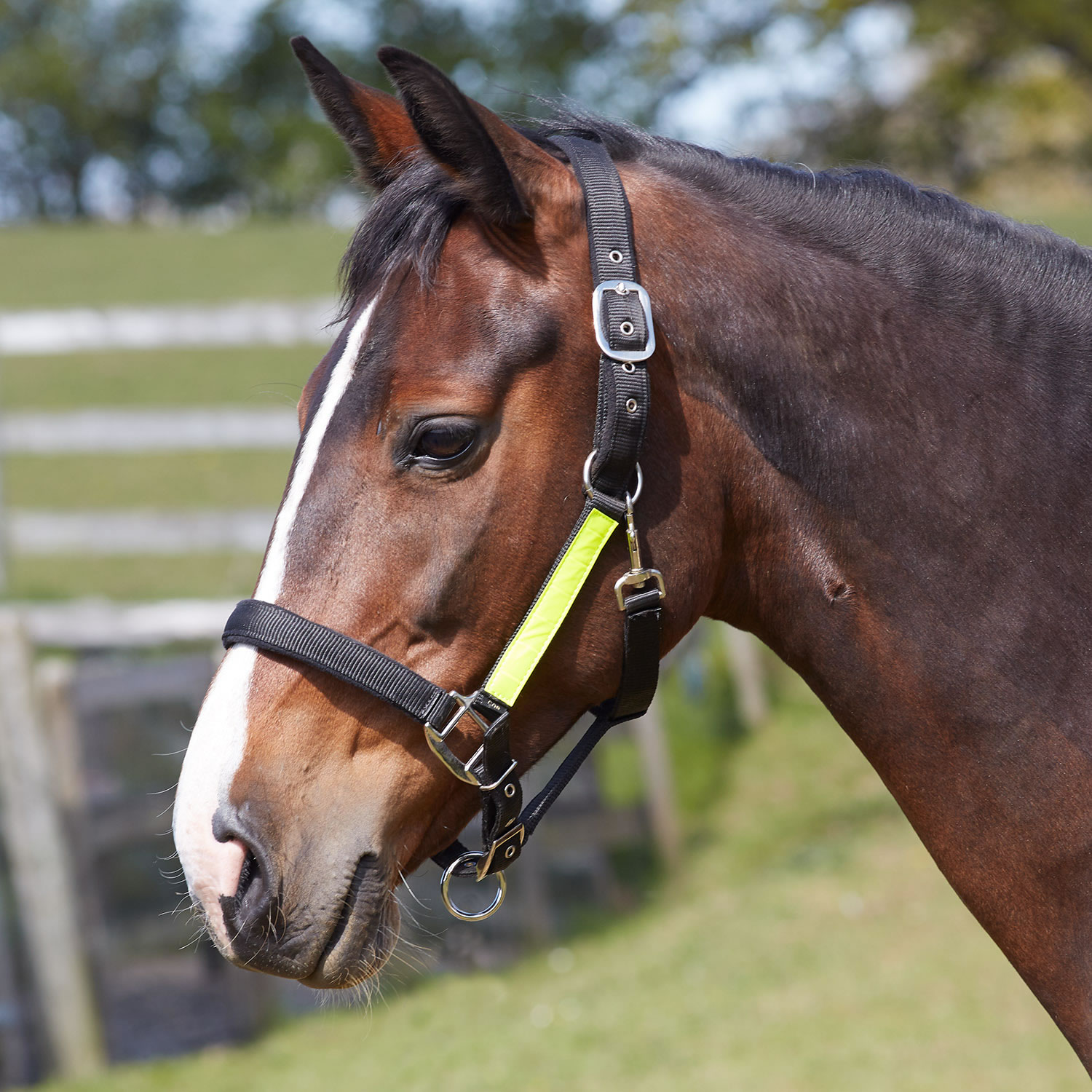 BITZ FIELD SAFE HEADCOLLAR WITH HI VIZ TRIM FULL FULL