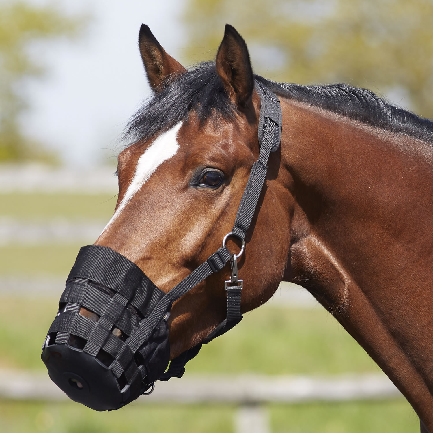 BITZ SUPERSOFT ANTI-RUB GRAZING MUZZLE PONY PONY