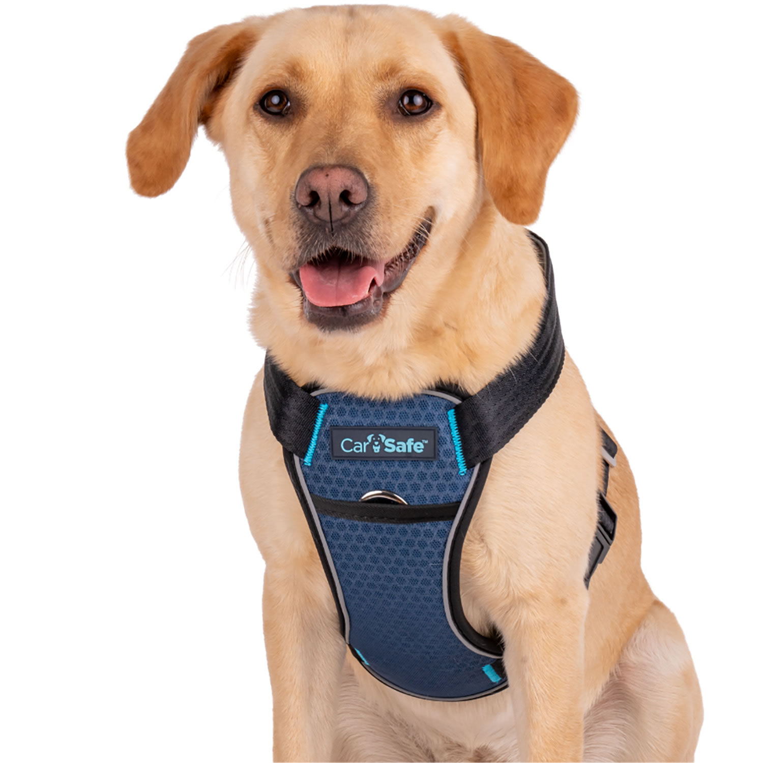 CARSAFE CRASH TESTED DOG HARNESS  SMALL