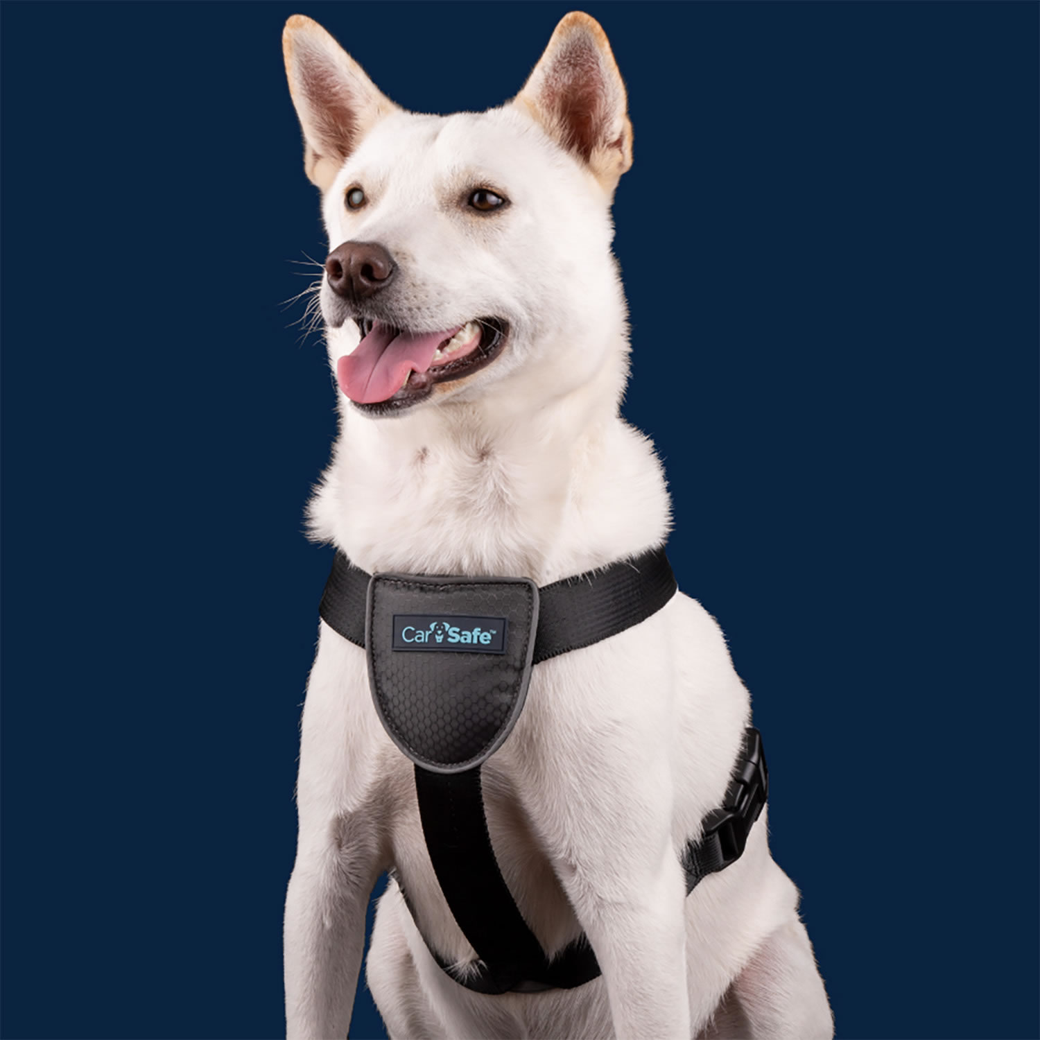CARSAFE DOG TRAVEL HARNESS  COA0007 6 IN A CASE SMALL
