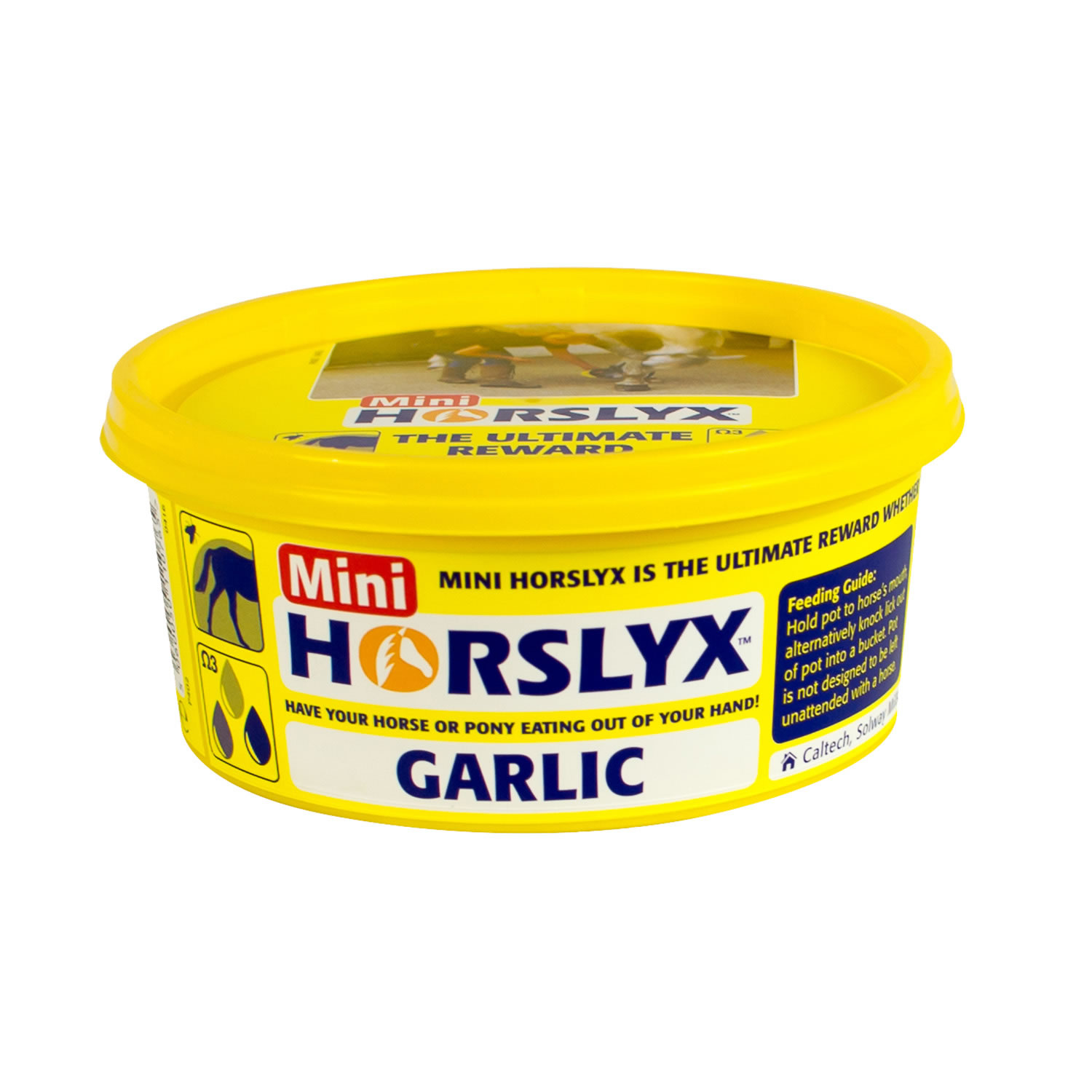 HORSLYX MINI LICKS GARLIC X 12 PACK 12 PACK GARLIC