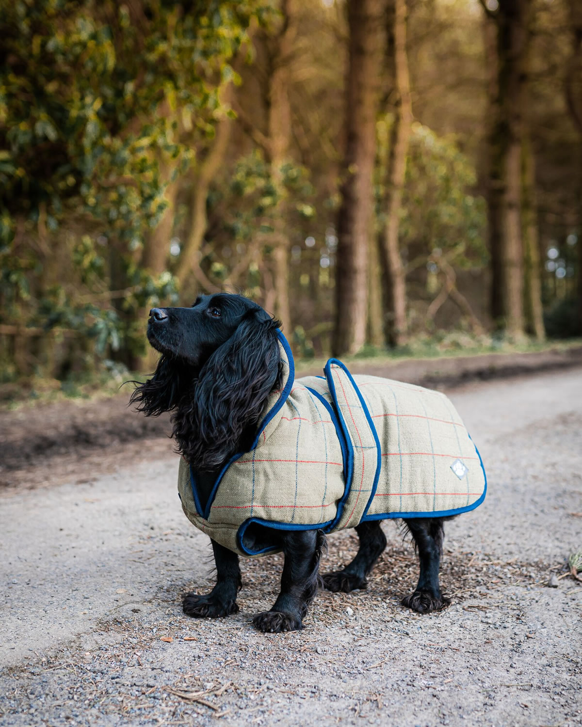 DANISH DESIGN TWEED DOG COAT 35 CM (14'')