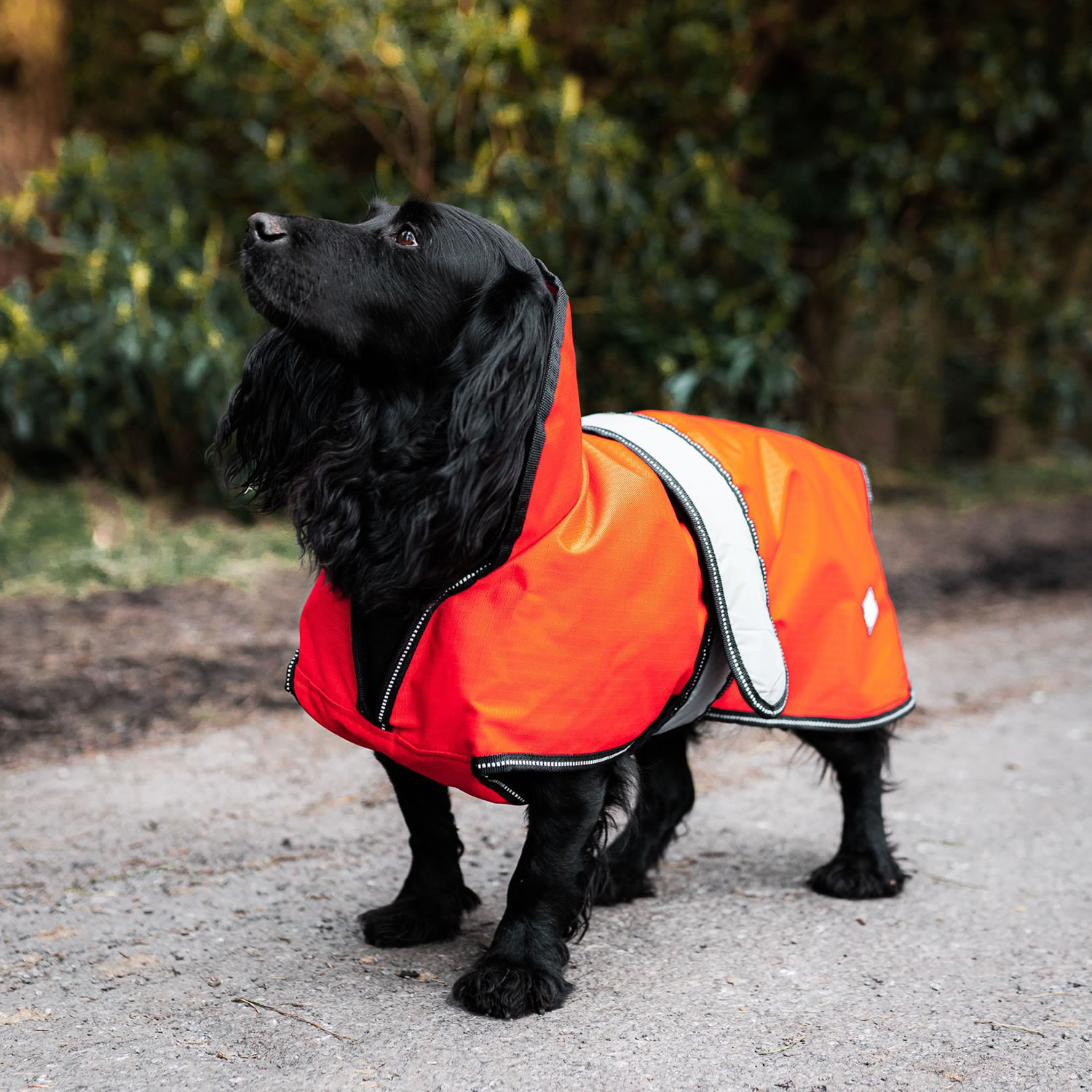 DANISH DESIGN ULTIMATE 2-IN-1 DOG COAT ORANGE  45 CM (18'')