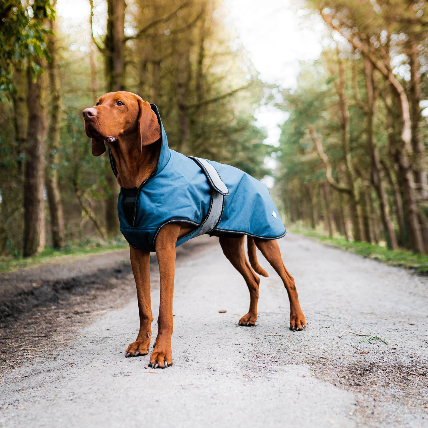 DANISH DESIGN ULTIMATE 2-IN-1 DOG COAT BLUE  35 CM (14'')