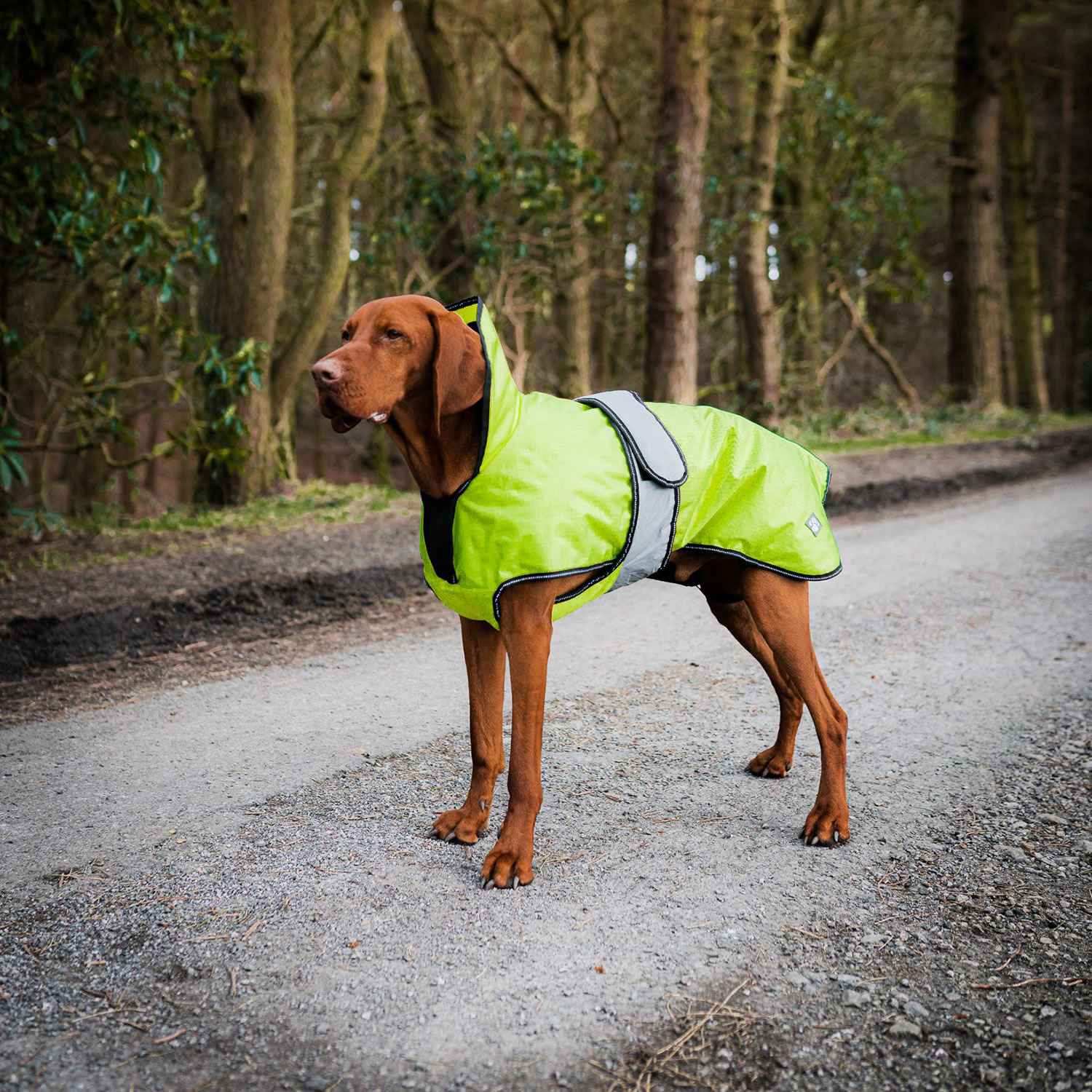 DANISH DESIGN ULTIMATE 2-IN-1 DOG COAT HI VIS YELLOW  35 CM (14'')