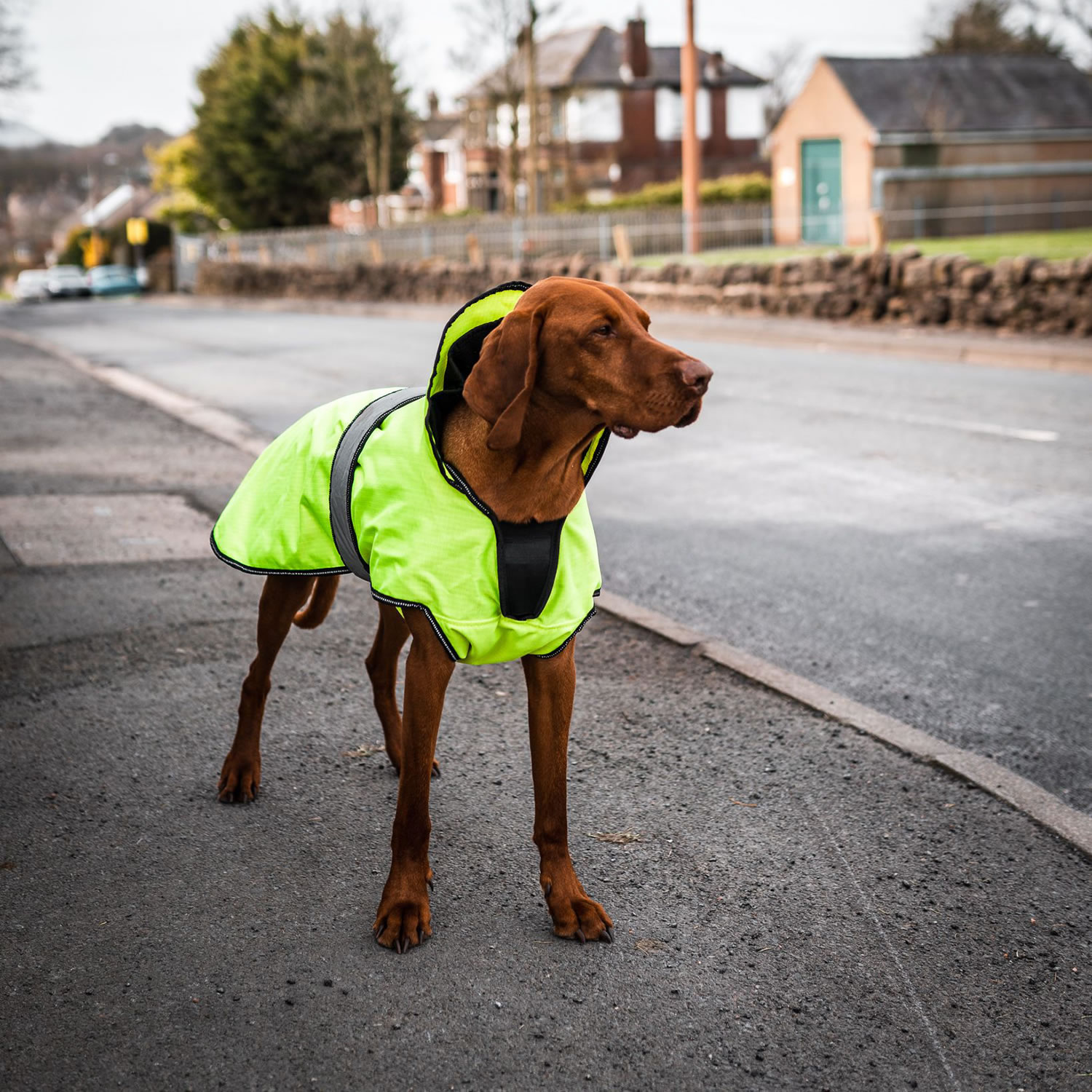 DANISH DESIGN ULTIMATE 2-IN-1 DOG COAT HI VIS YELLOW  40 CM (16'')