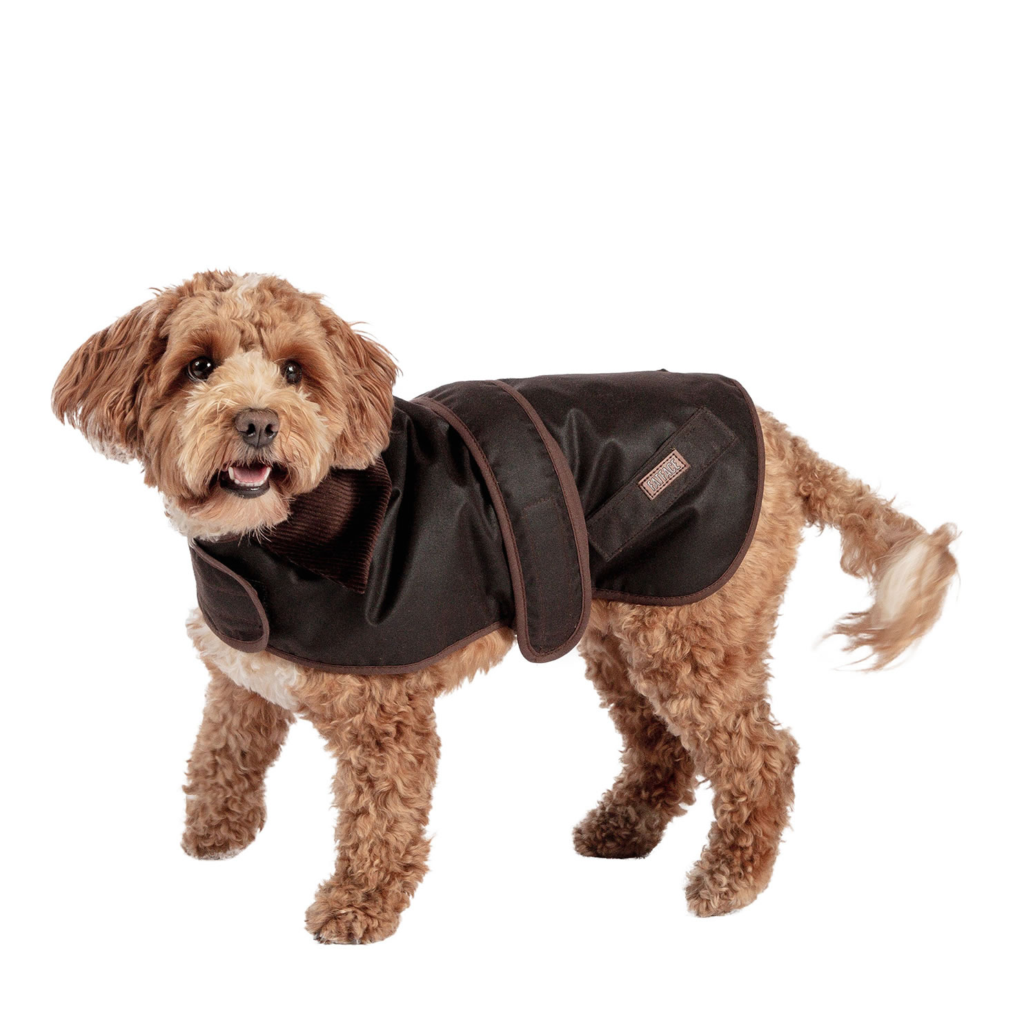 DANISH DESIGN FATFACE SUSSEX DOG COAT  18'' (45 CM)