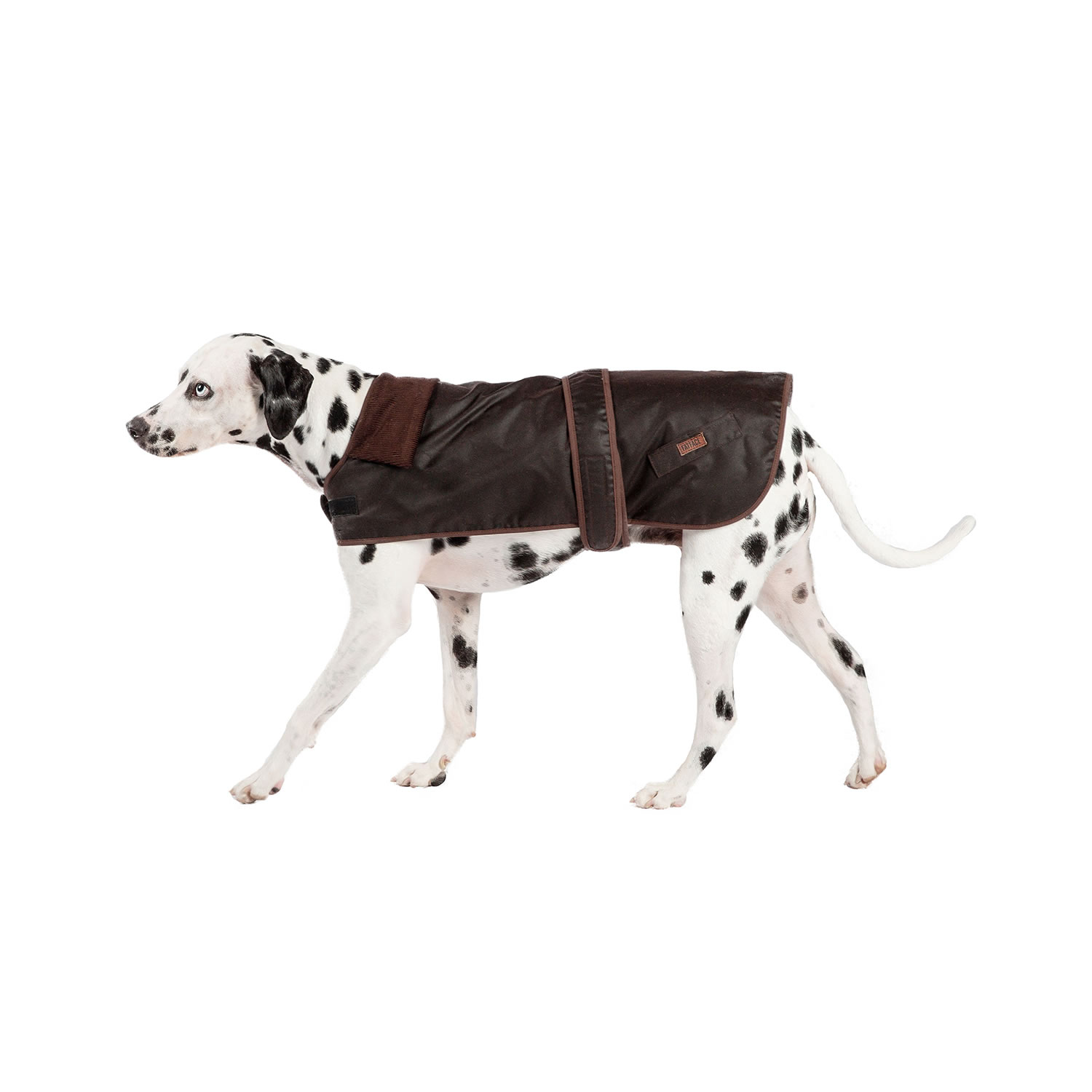 DANISH DESIGN FATFACE SUSSEX DOG COAT  20'' (50 CM)