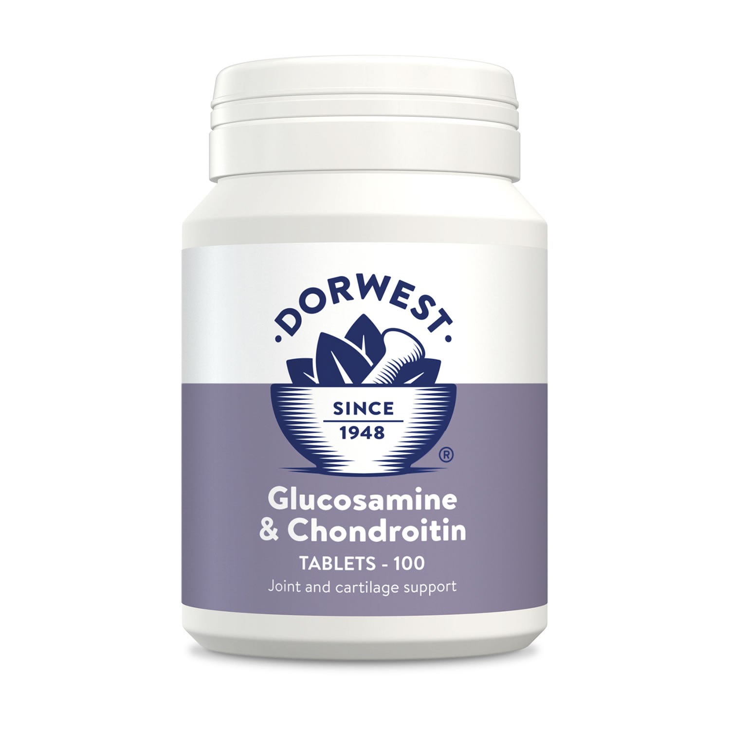 DORWEST HERBS GLUCOSAMINE & CHONDROITIN  100 TABLETS
