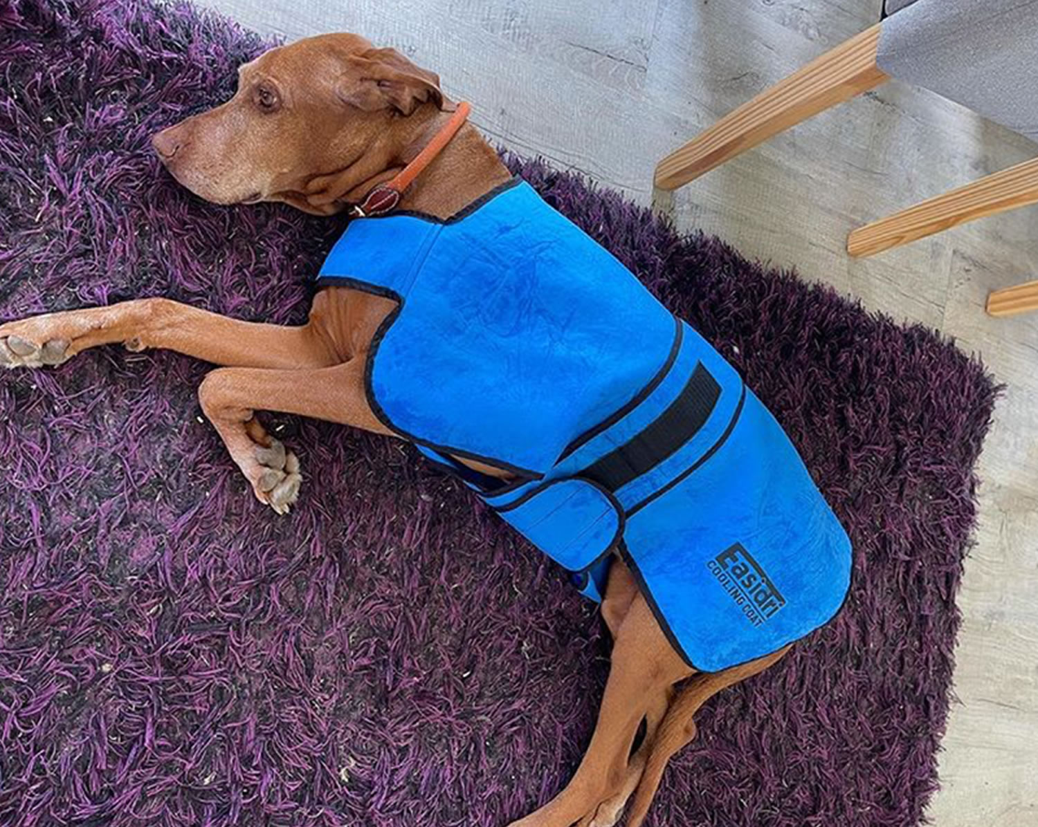 Easidri sales cooling coat