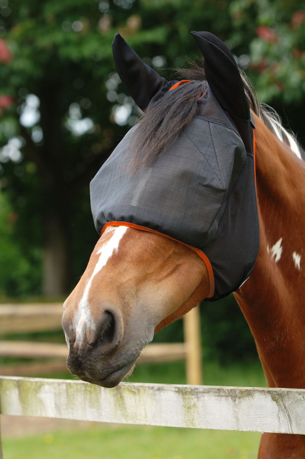 EQUILIBRIUM FIELD RELIEF MIDI FLY MASK & EARS BLACK/ORANGE MEDIUM BLACK/ORANGE MEDIUM