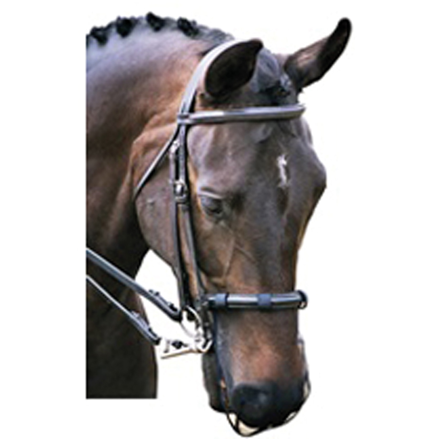 EQUILIBRIUM NET RELIEF MUZZLE NET COB/HORSE BLACK COB/HORSE