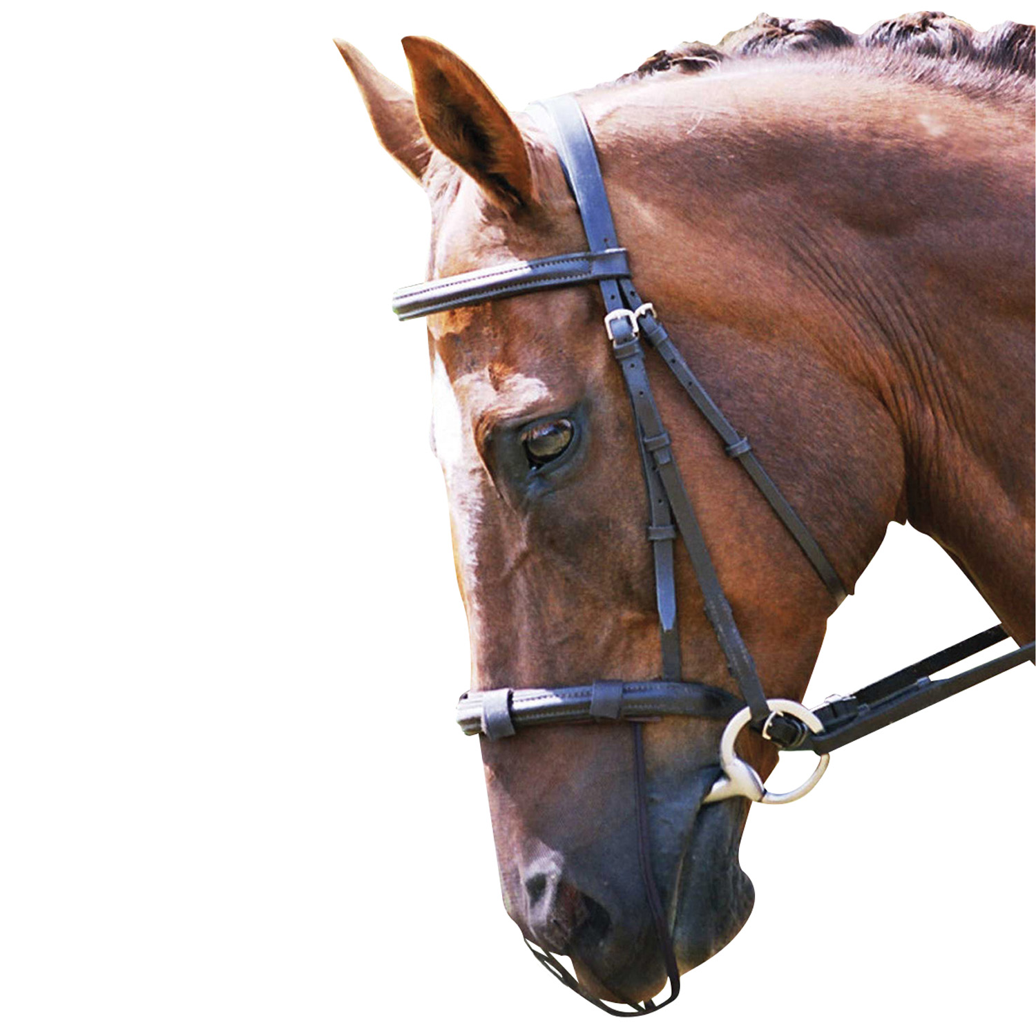 EQUILIBRIUM NET RELIEF MUZZLE NET COB/HORSE BROWN COB/HORSE