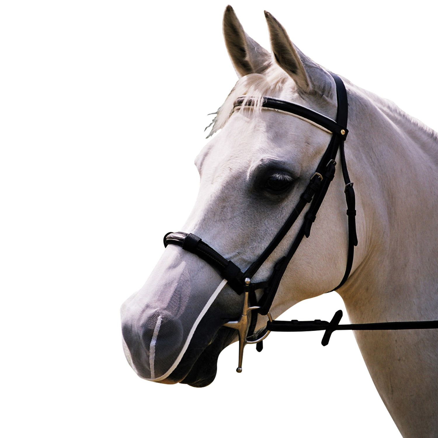 EQUILIBRIUM NET RELIEF MUZZLE NET COB/HORSE WHITE COB/HORSE