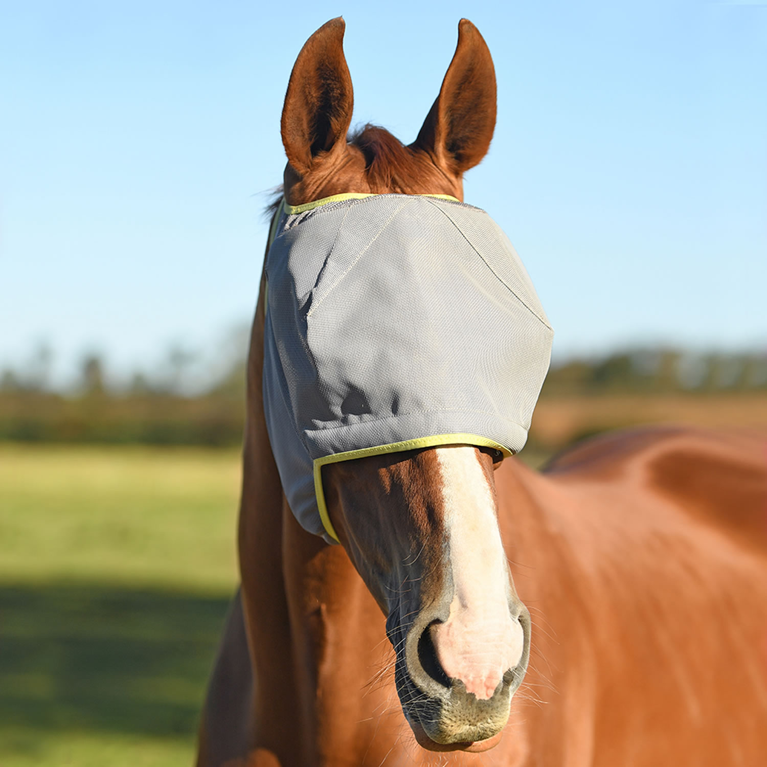 EQUILIBRIUM FIELD RELIEF MIDI FLY MASK NO EARS GREY/YELLOW XSMALL GREY/YELLOW XSMALL