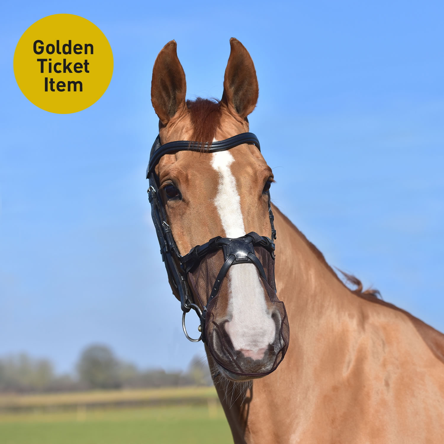 HARRY'S HORSE Filet de nez noir
