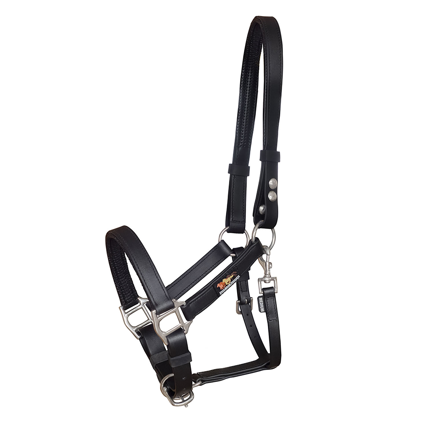 EQUILIBRIUM STELLAR HEADCOLLAR BLACK Large LARGE