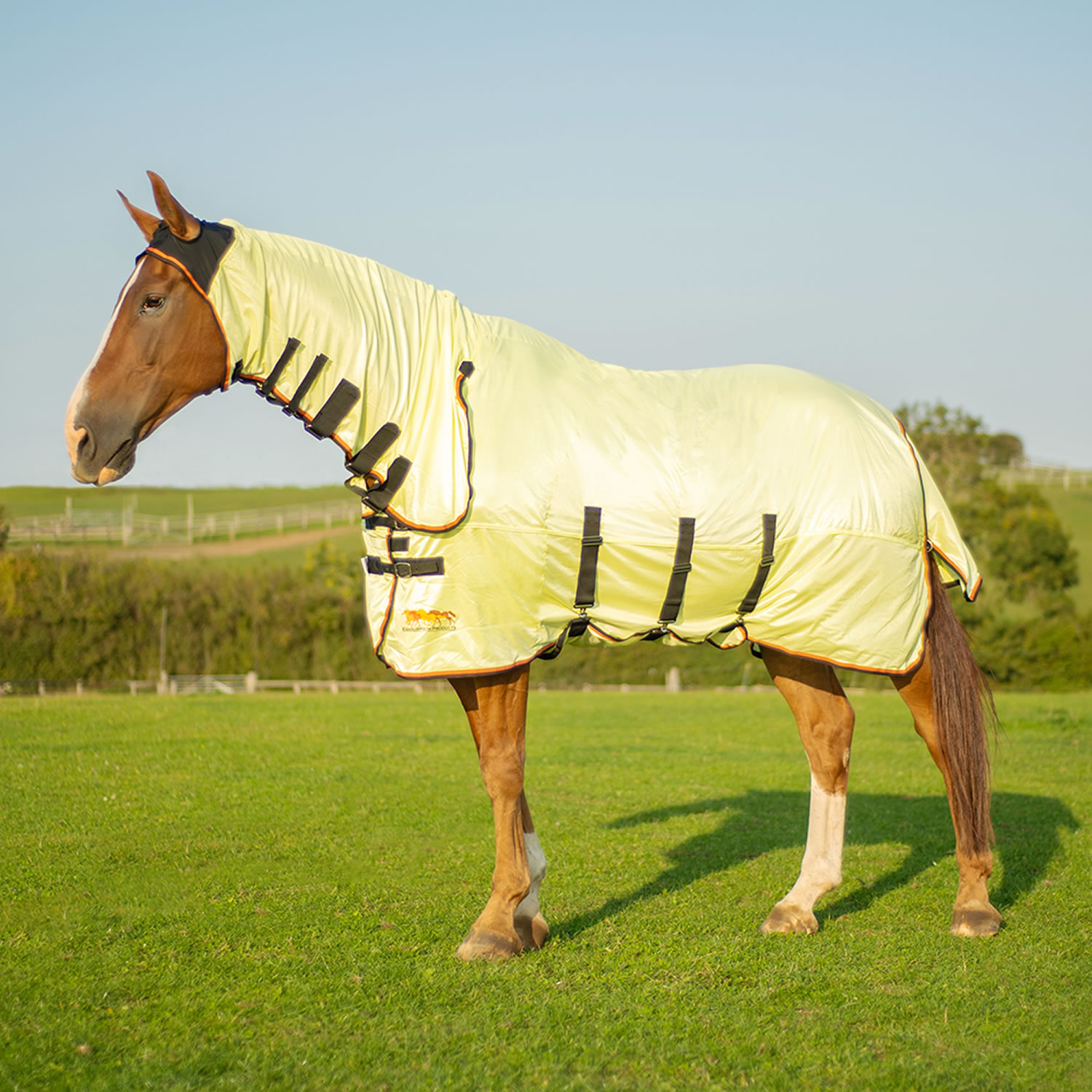 EQUILIBRIUM FIELD RELIEF FLY RUG _-@_- 6' 6''