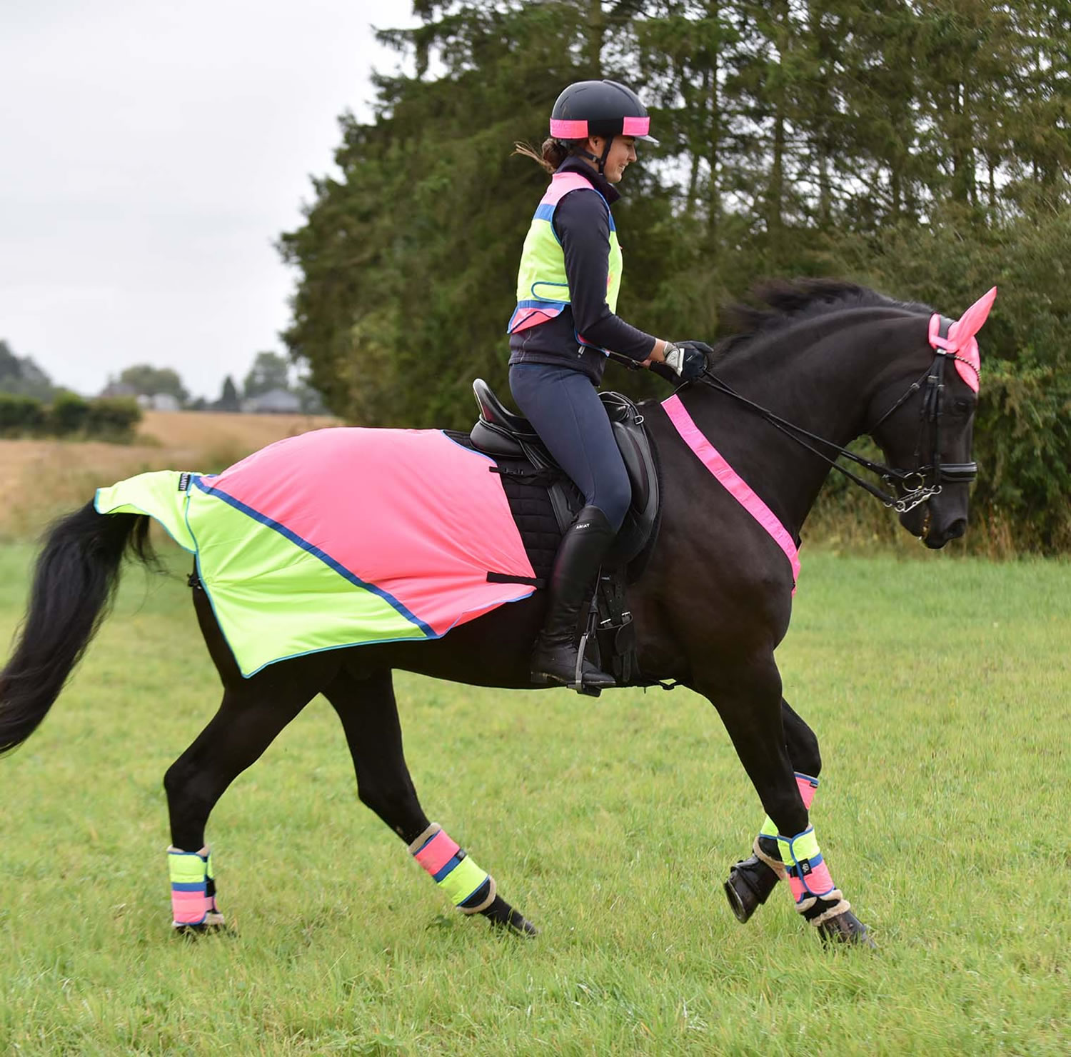 EQUISAFETY BREATHABLE MESH QUARTER SHEET PINK/YELLOW EQY1982 30 In a Case SHOW PONY