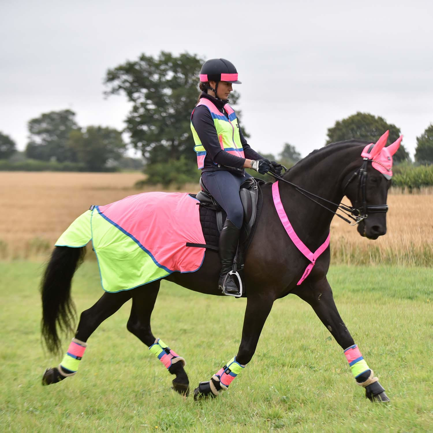 EQUISAFETY BREATHABLE MESH QUARTER SHEET PINK/YELLOW EQY1984 30 In a Case COB