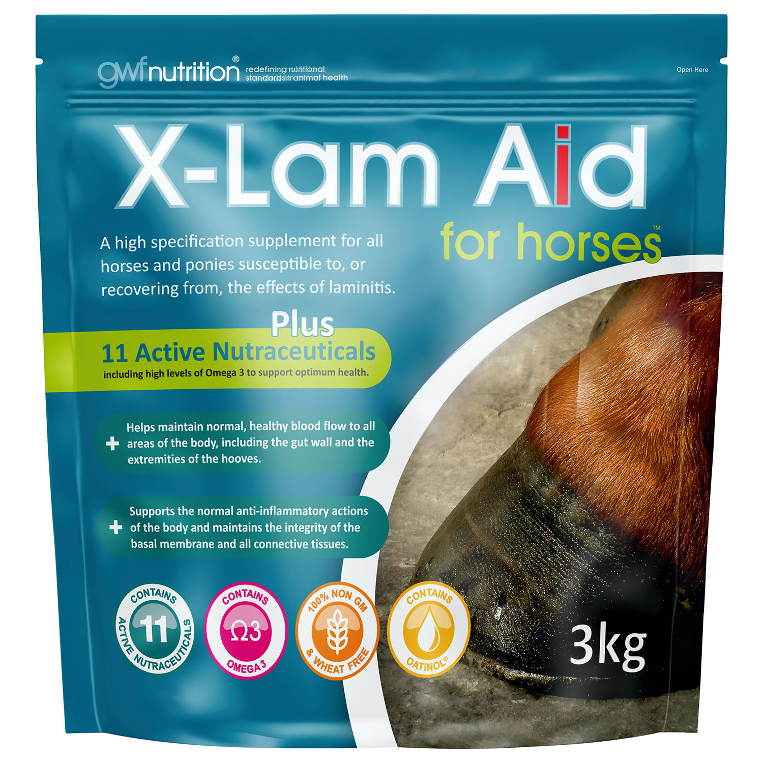 GWF X-LAM AID PELLETS FOR HORSES 3 KG 3 KG