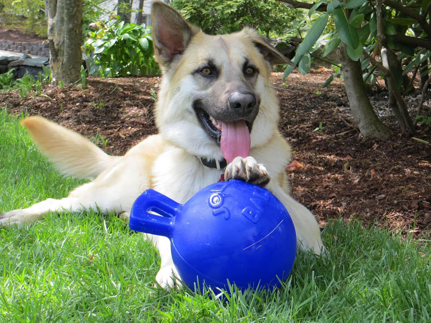 JOLLY PETS TUG-N-TOSS 4.5'' 4.5'' BLUE