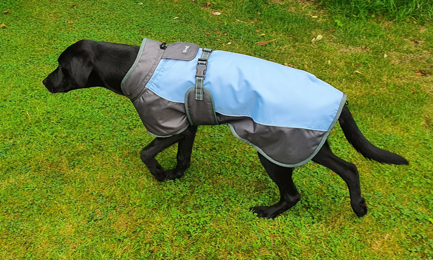 HENRY WAG WATERPROOF DOG COAT  LARGE (55 CM)