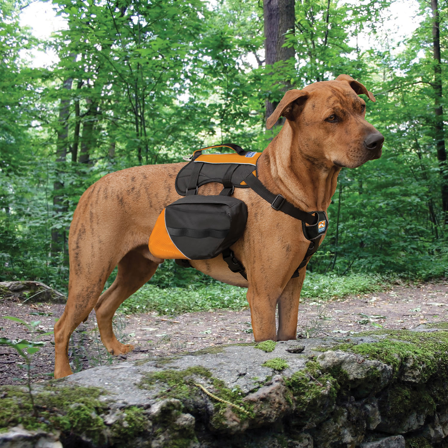 KURGO BAXTER BACKPACK