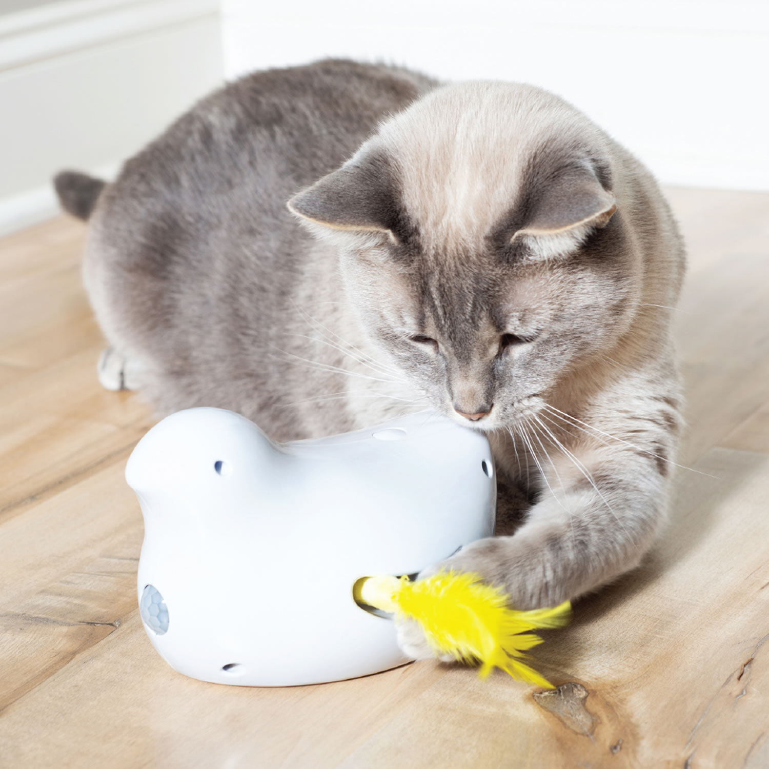 PetSafe Peek-a-Bird Electronic Cat Toy