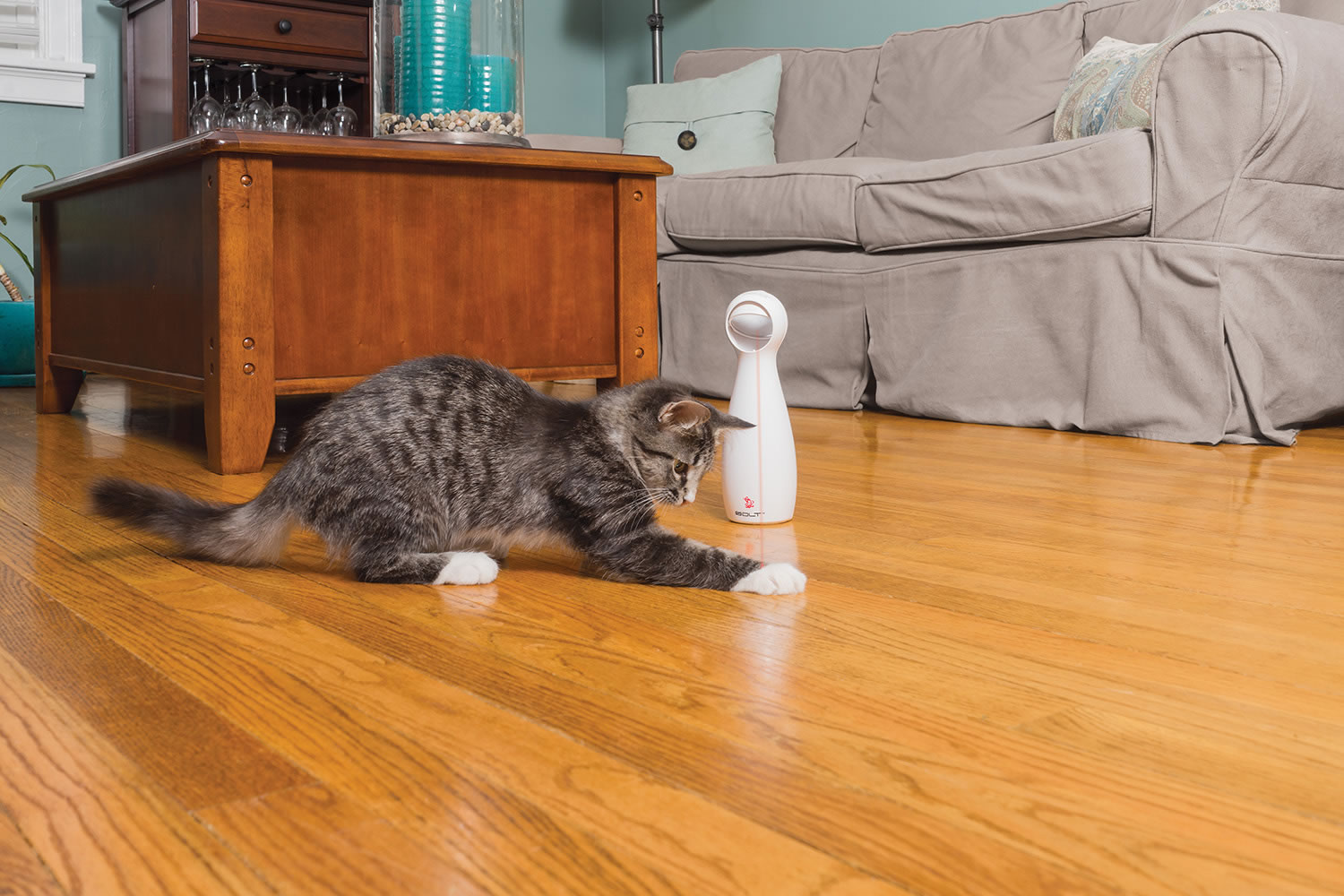 PetSafe Bolt Laser Light Cat Toy