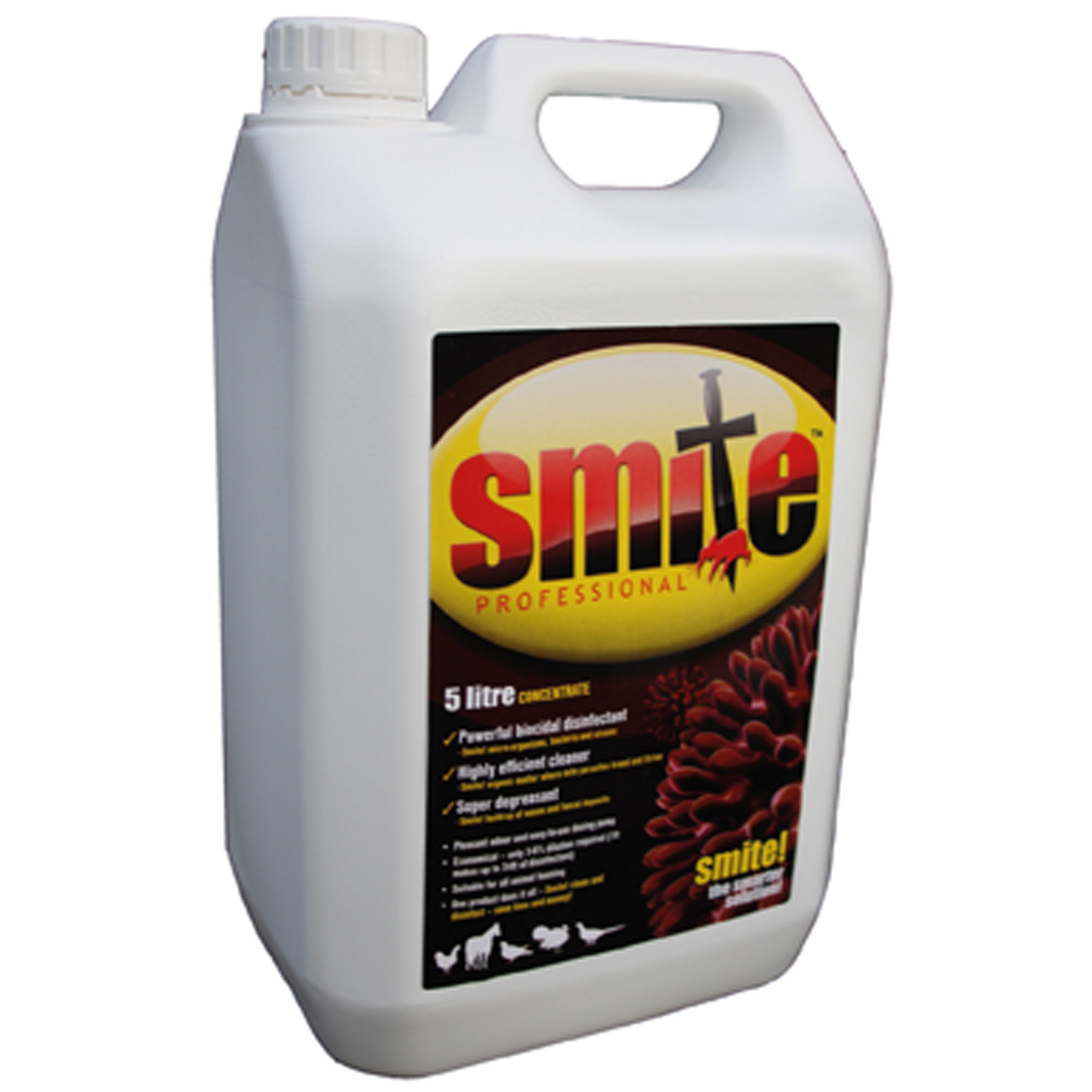 SMITE PROFESSIONAL CONCENTRATE 5 LT