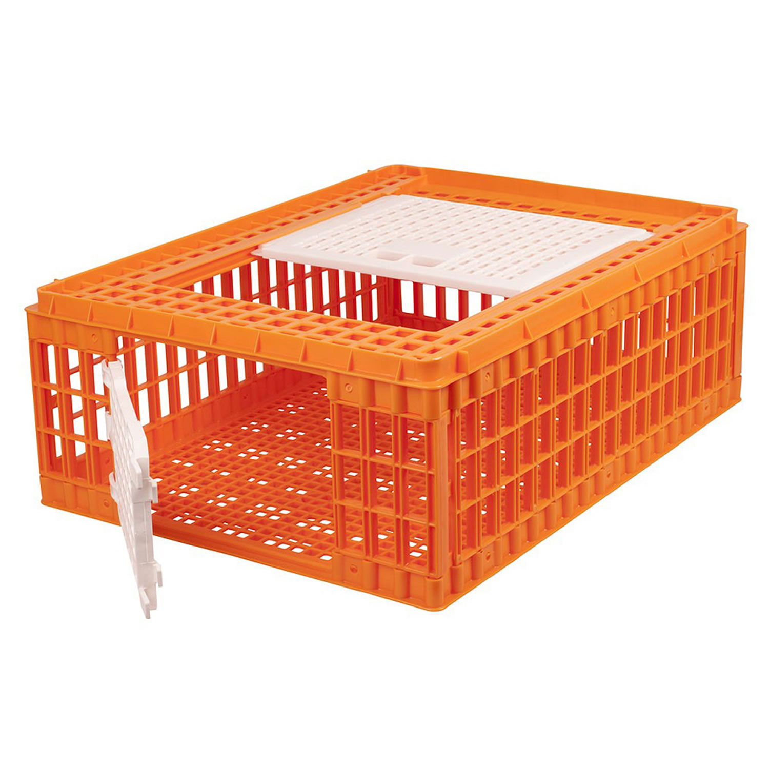 ETON MINI PLASTIC POULTRY CASE