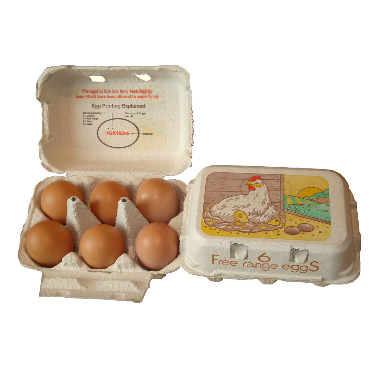 ETON EGG BOX FREE RANGE   WHITE