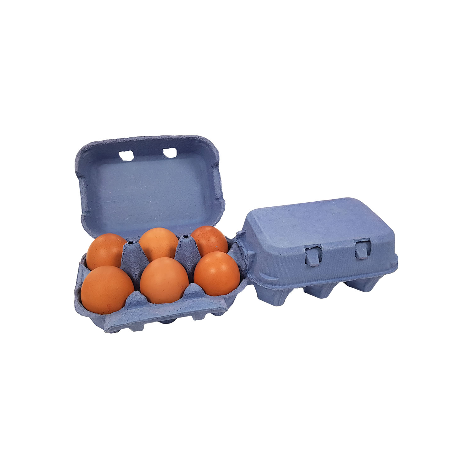 ETON EGG BOX FLAT TOP  260 PACK   BLUE