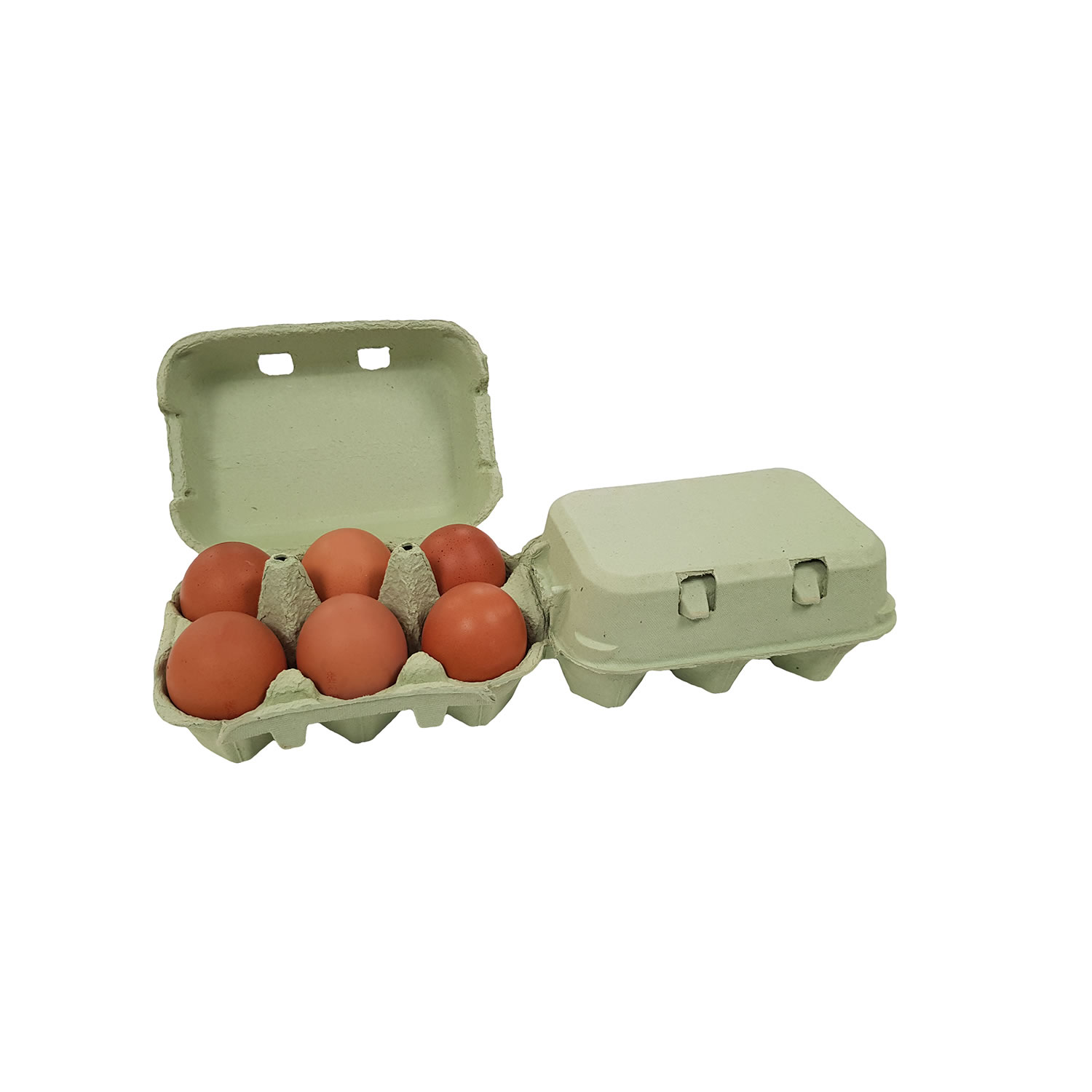 ETON EGG BOX FLAT TOP  260 PACK   GREEN