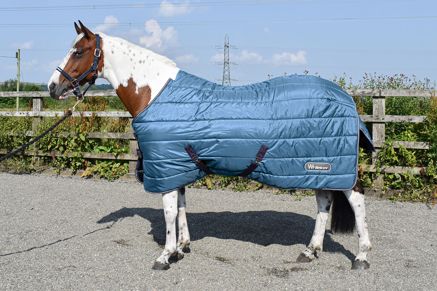 WHITAKER STABLE RUG LUPIN 200GM TEAL  4' 6'' STABLE