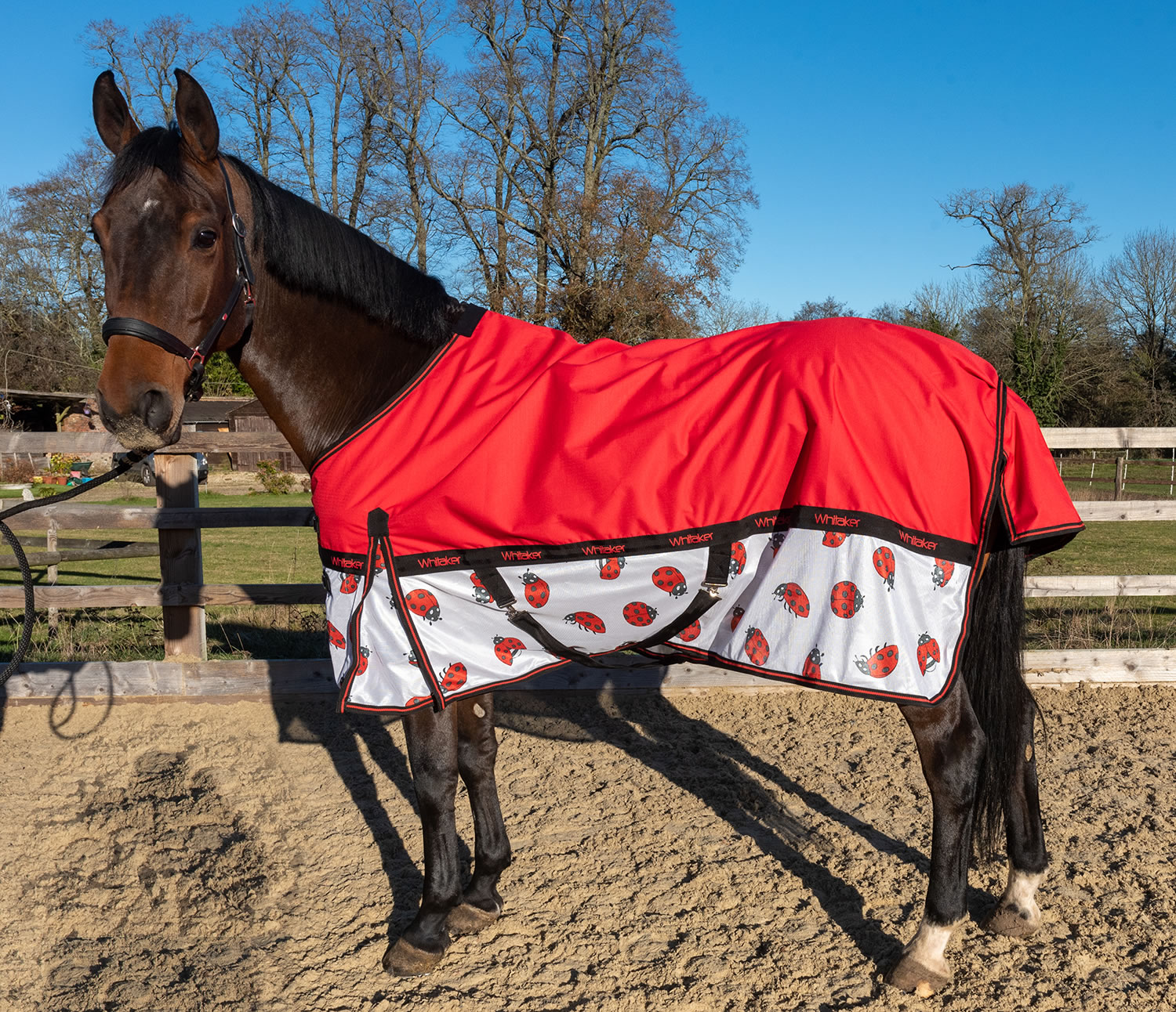 WHITAKER LADYBIRD AIRFLOW TURNOUT RUG 4' 9" TURNOUT RUG