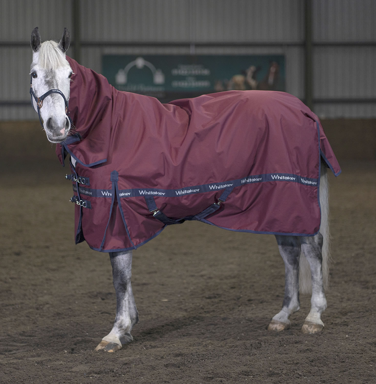 WHITAKER BROCKFIELD FIXED NECK TURNOUT RUG 100GM  5' 9'' TURNOUT RUG