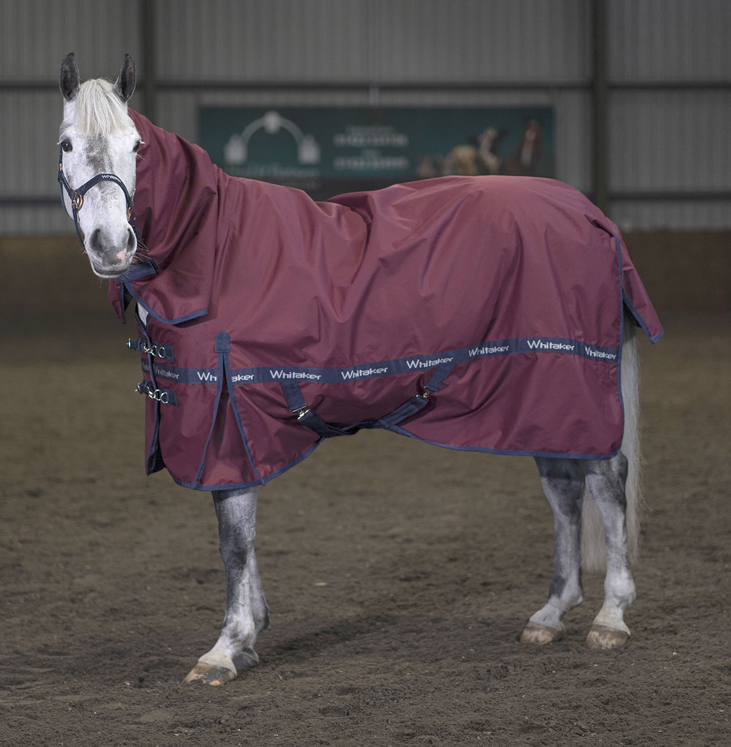 whitaker-brockfield-fixed-neck-turnout-rug-100gm-6-3-turnout-rug