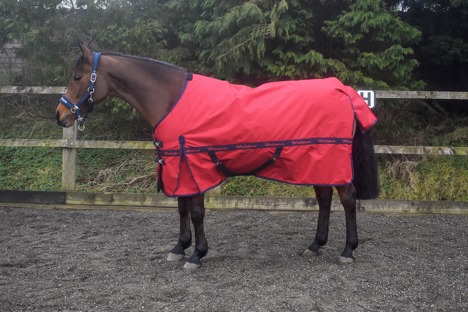 WHITAKER KIRBY TURNOUT RUG 100GM RED  5' 6'' TURNOUT RUG