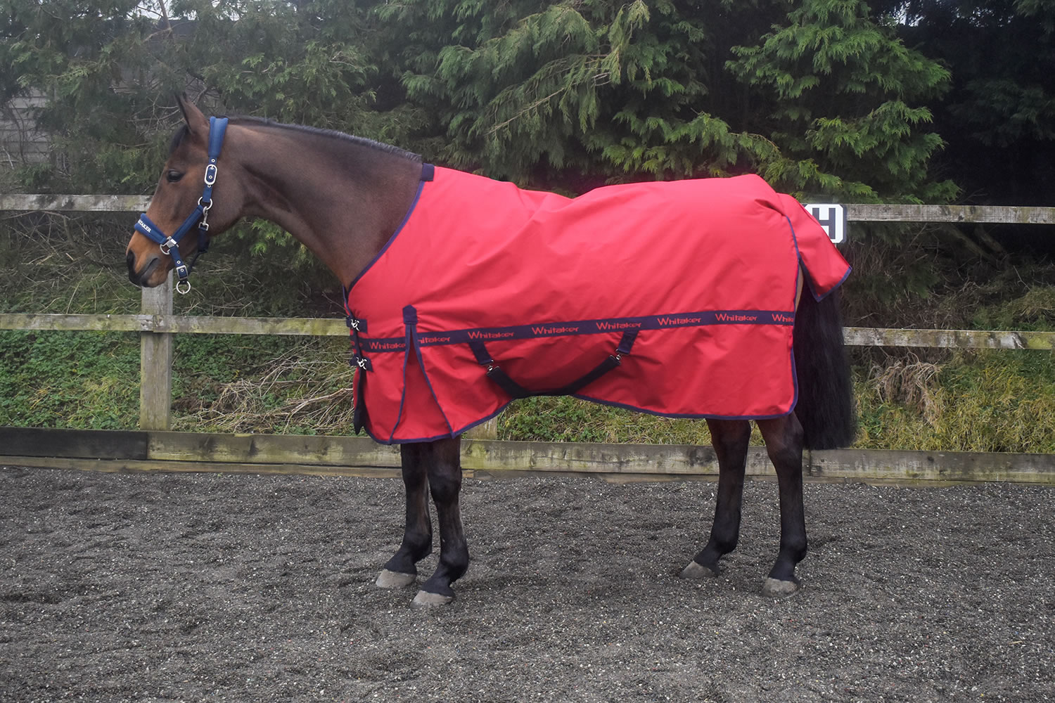 6 3 Turnout Rug