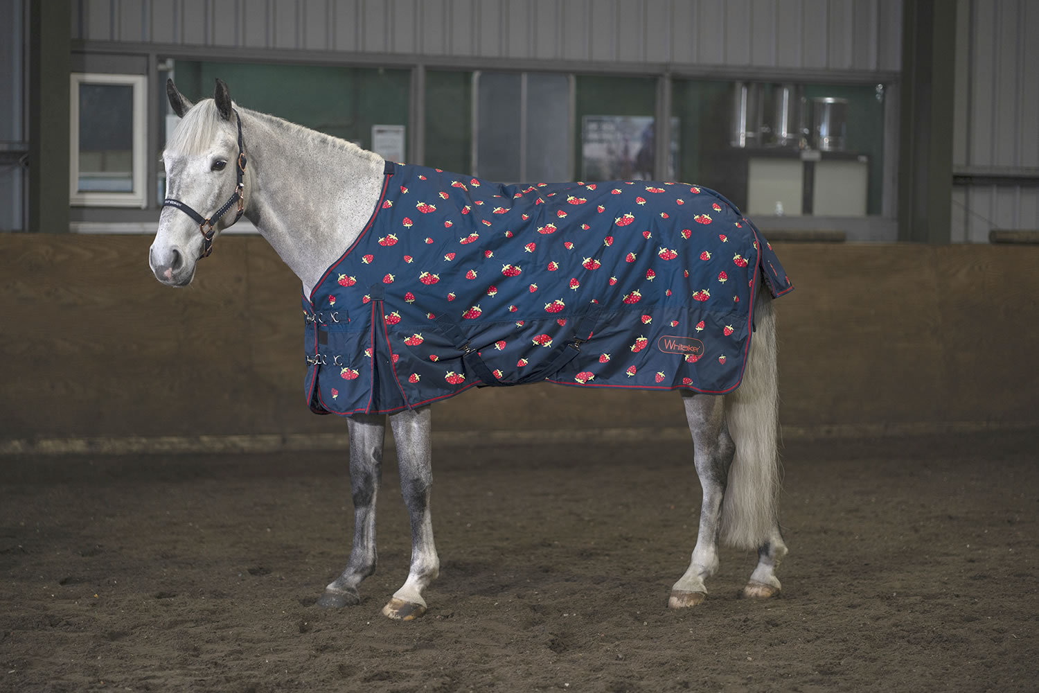 WHITAKER STRAWBERRY TURNOUT RUG 0GM  5' 0'' TURNOUT RUG