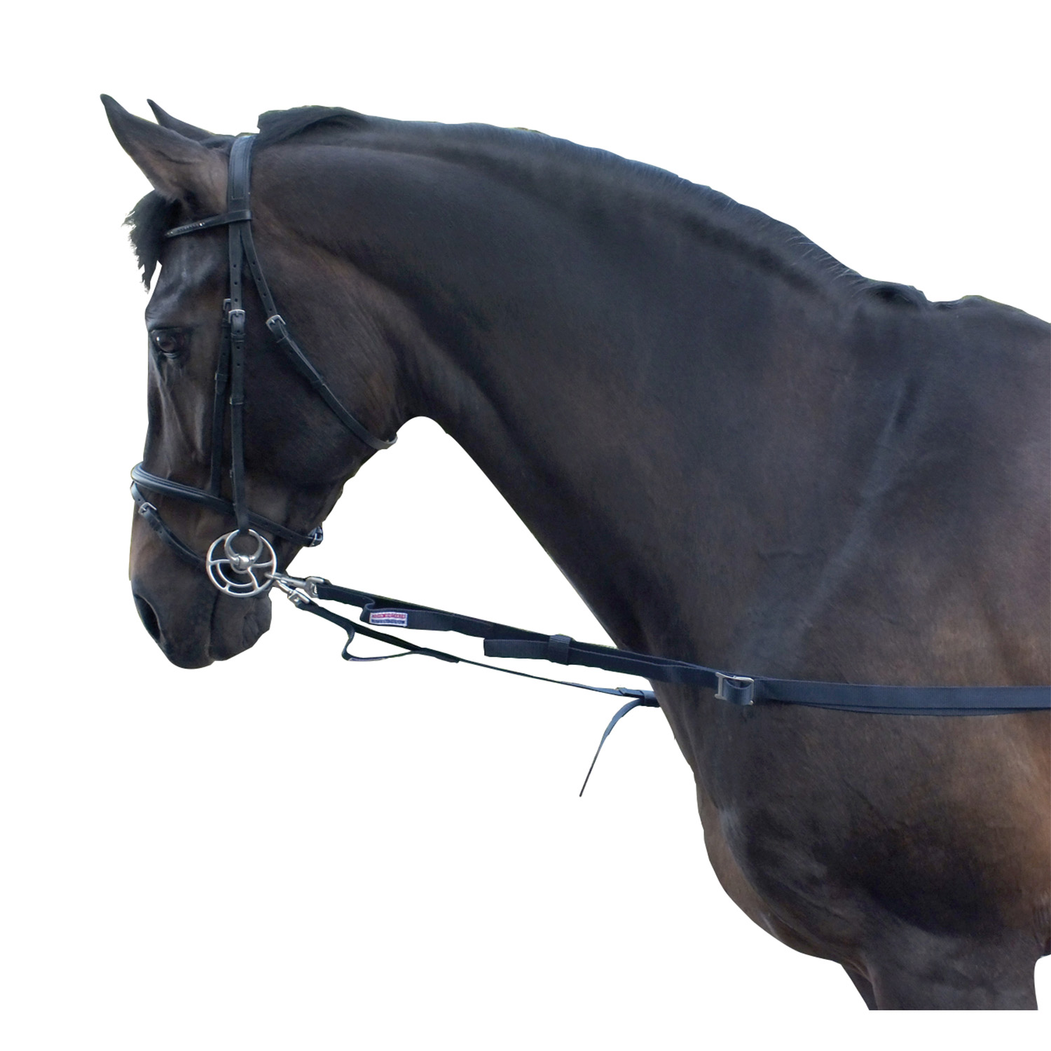 WHITAKER ELASTICATED SIDE REINS  NAVY