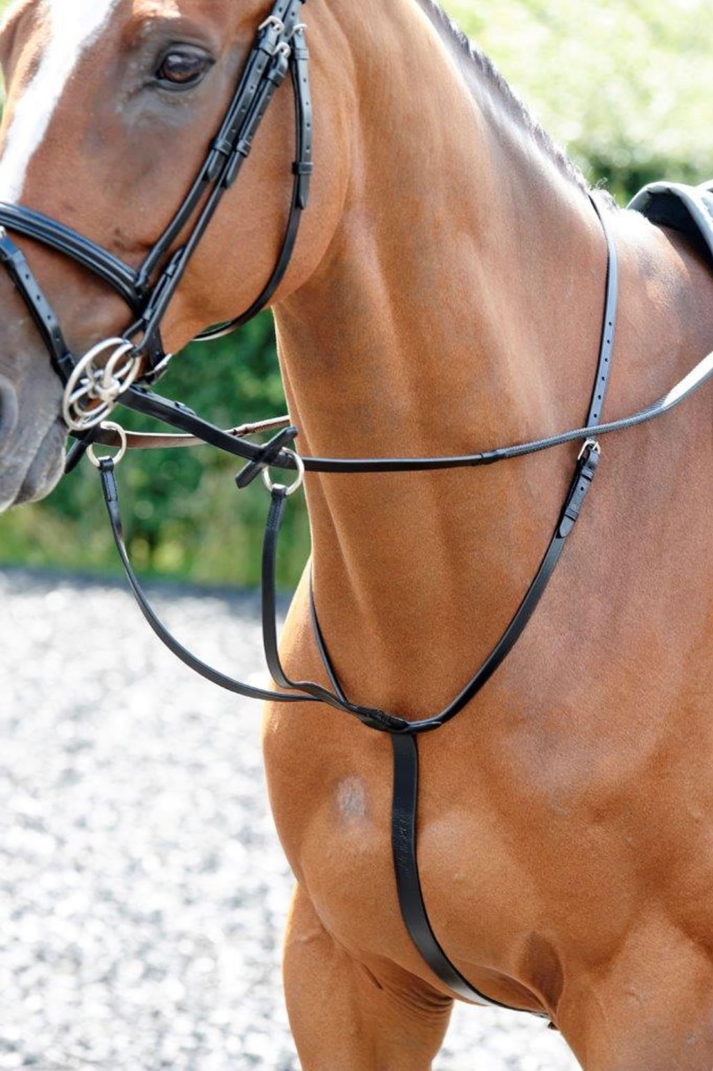 Martingale De Course Whitaker Barton - Cuir Noir Ou Marron - Taille Cob / Full - Neuf